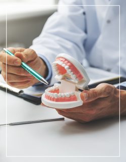 Dental Bridges Serving Bay Area, San Jose, CA Dental Bridges Serving Bay Area, San Jose, CA